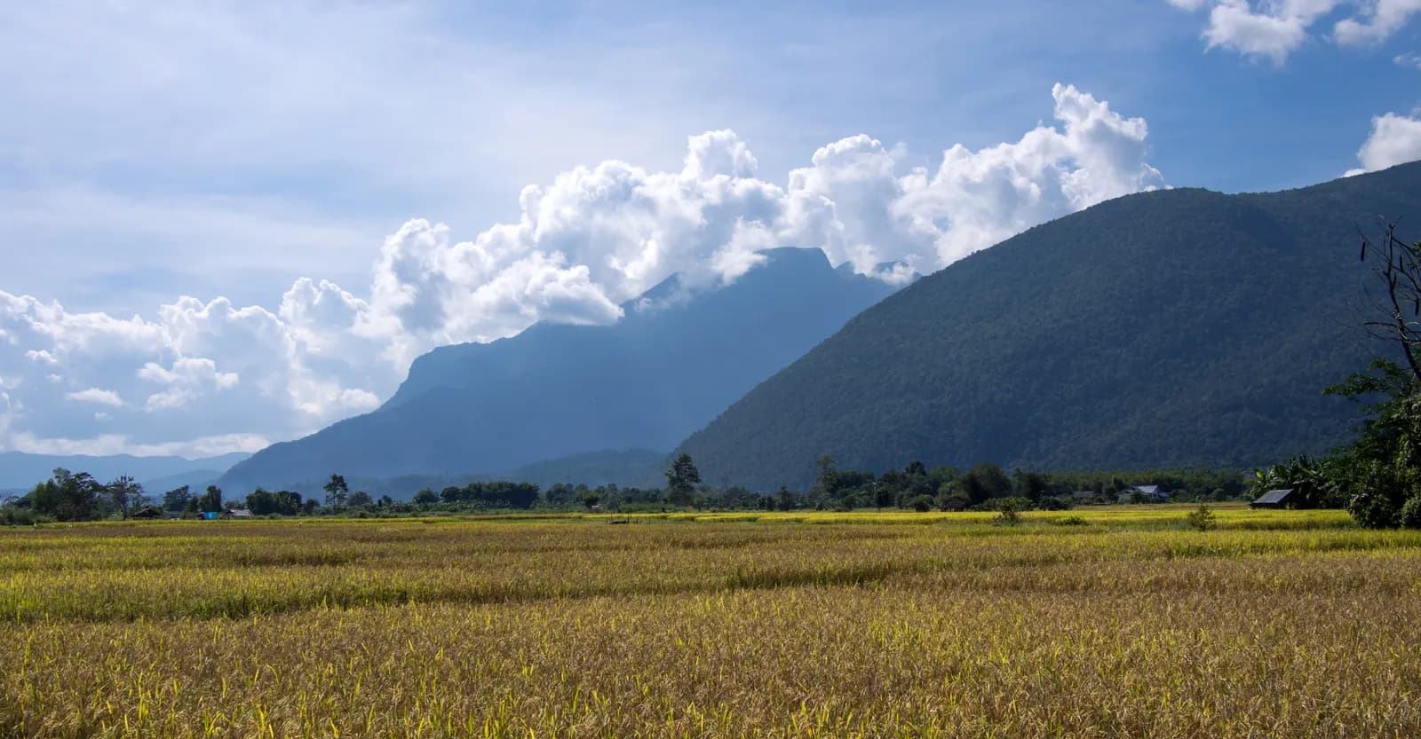 Chiang Dao