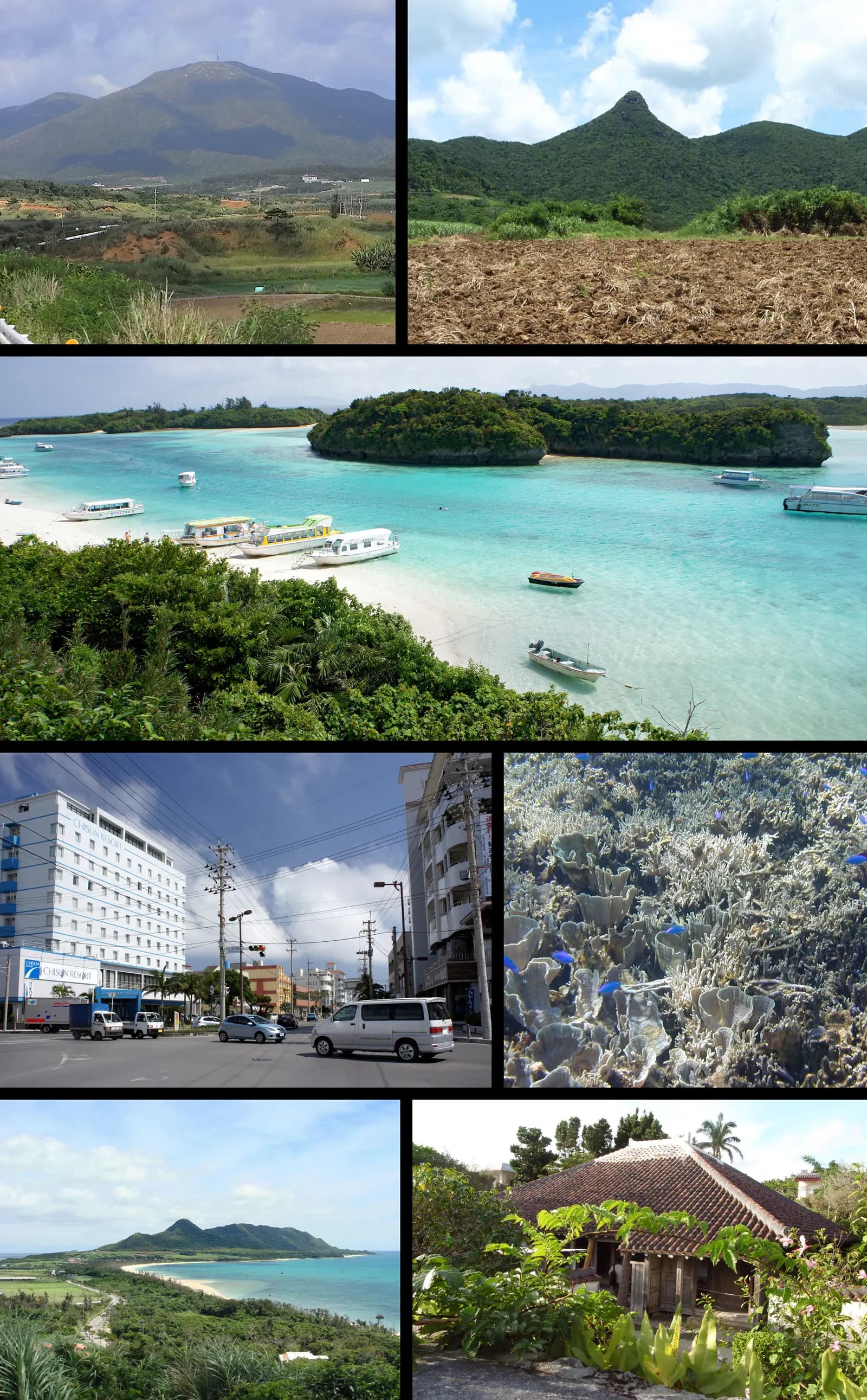 Ishigaki