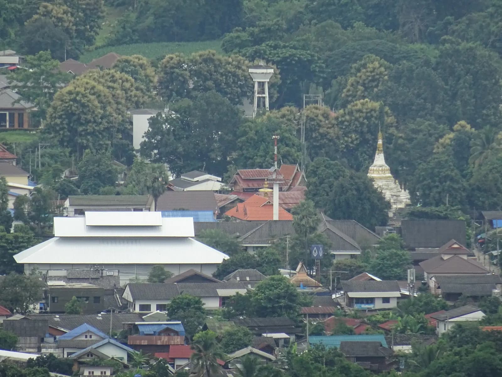 Pai