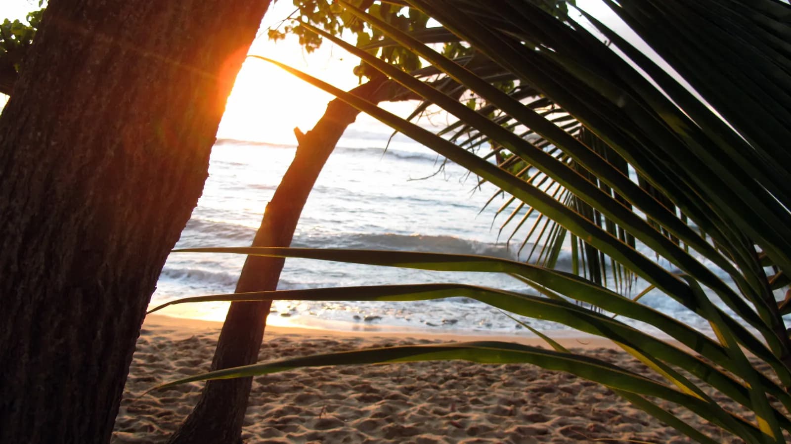 Rincón