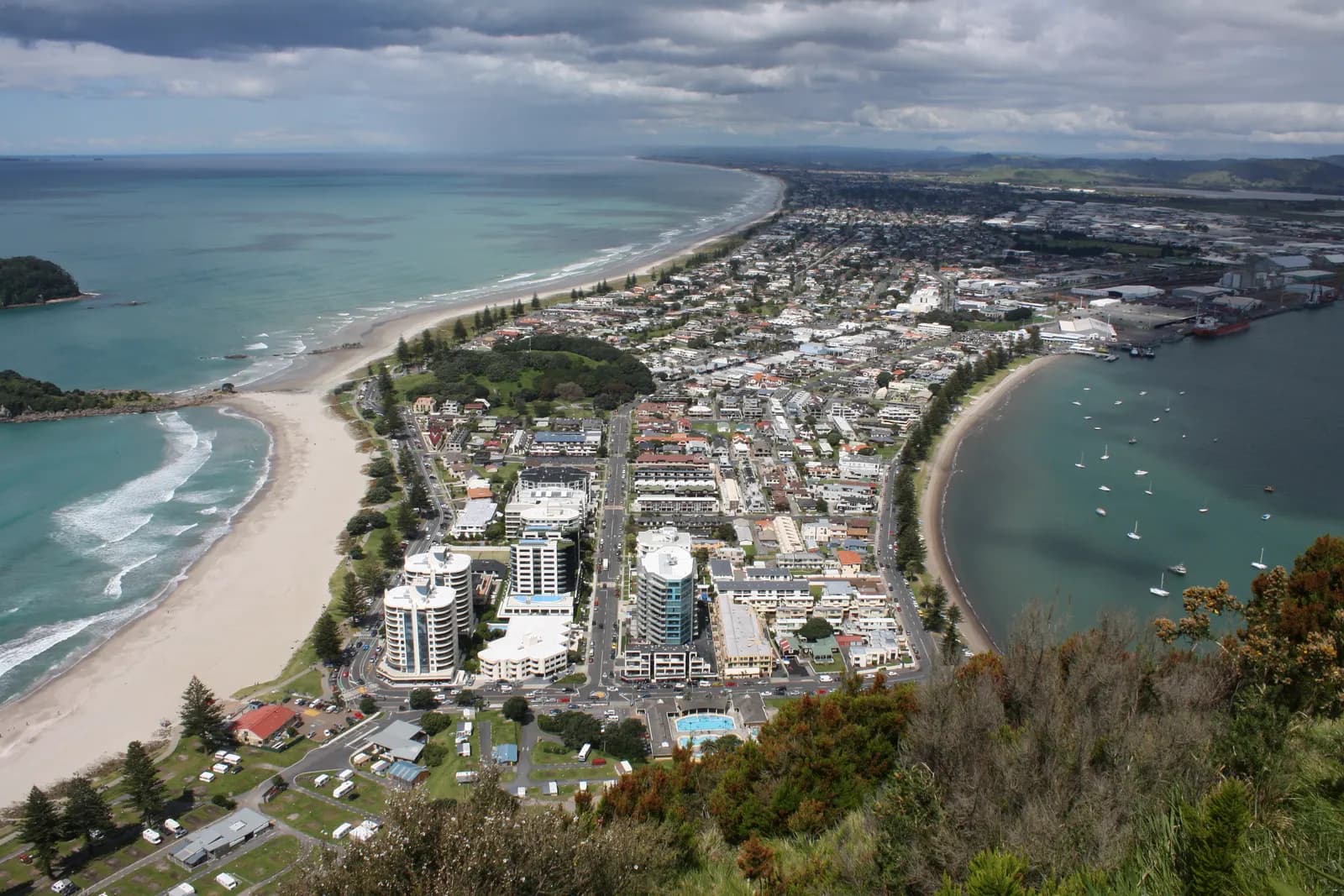 Tauranga
