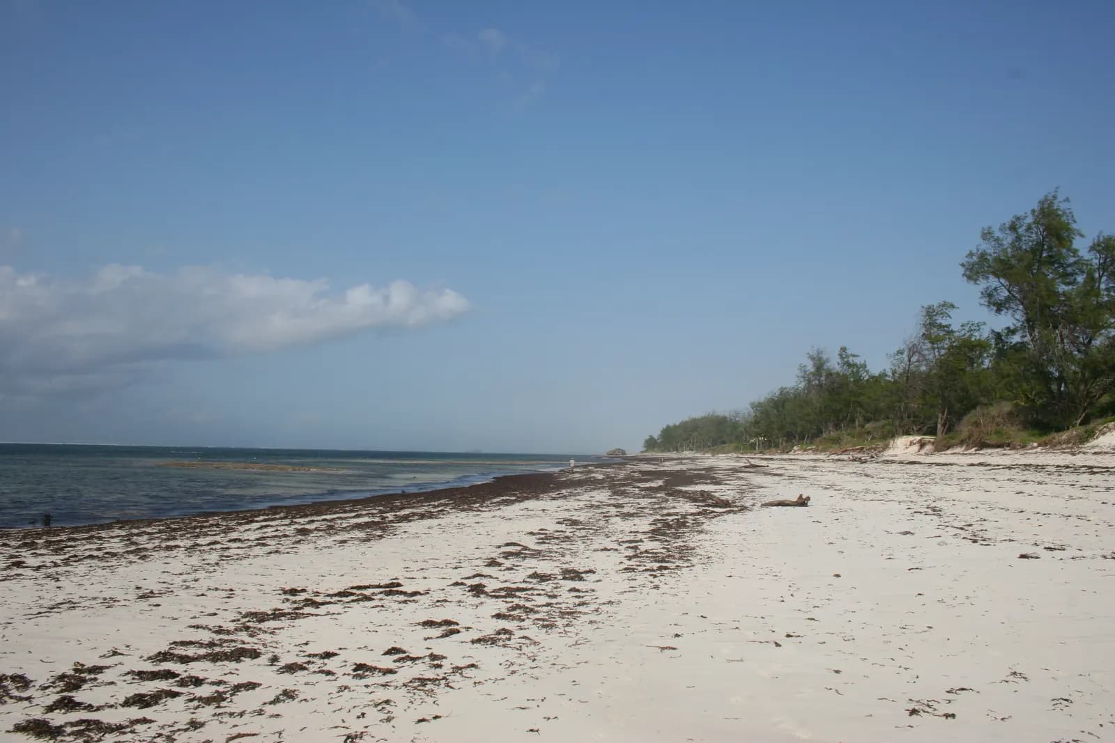 Watamu